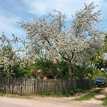 Villa Yuecebas Konagi *